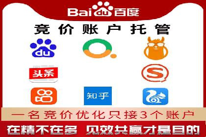 SEM竞价实战：成功案例解析